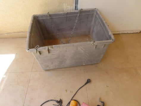 כננות