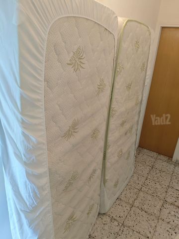 מיטה