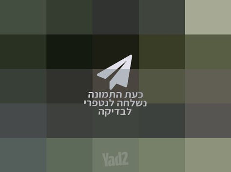 סוכות