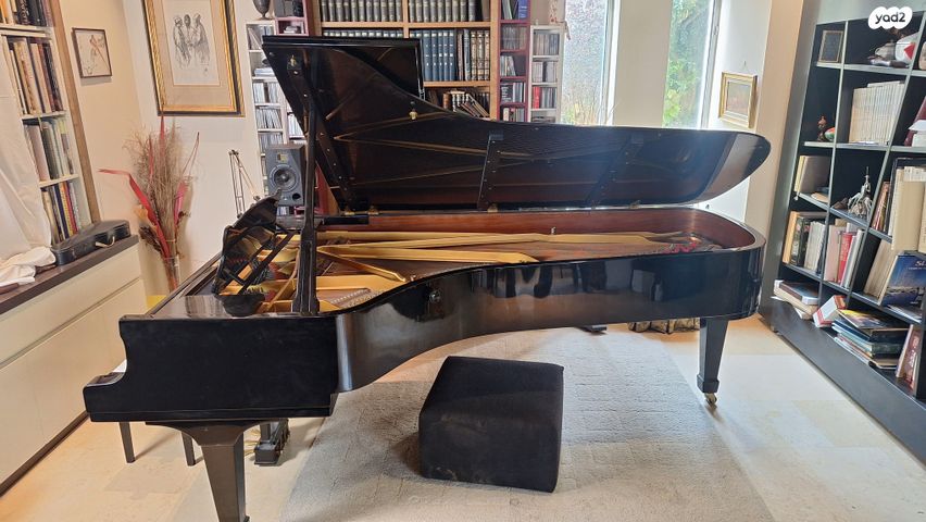 Steinway D hamburg פסנתר כנף
