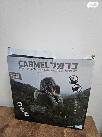 כרית טיסה