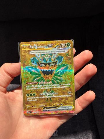 ‏קלף Teal Mask Ogerpon Pokémon