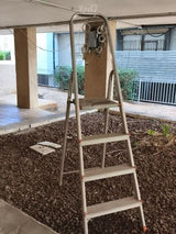 סולם