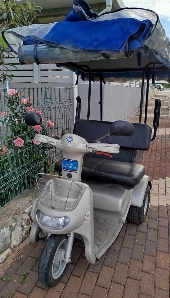 קלנועית