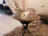 Dm 12 Note PANTAM Handpan