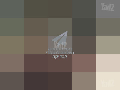 קולנועית