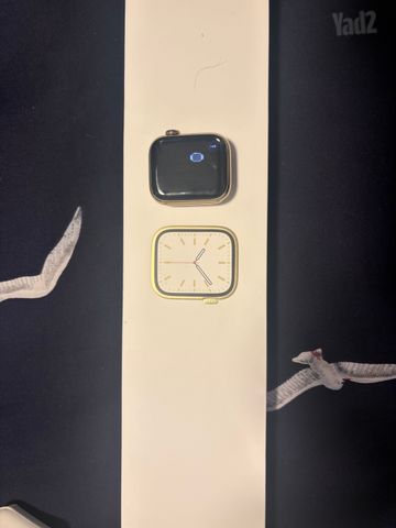 Apple Watch 7 Stainless Steel