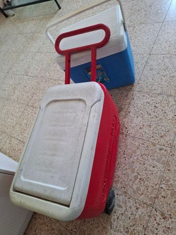 צידנית