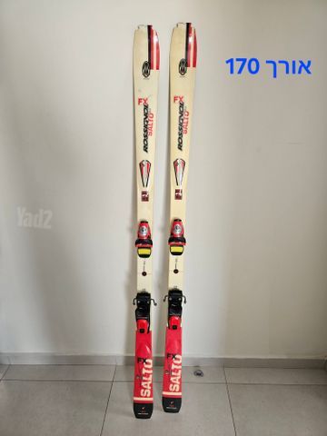 מגלשיי סקי