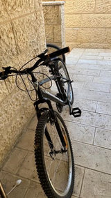אופנים