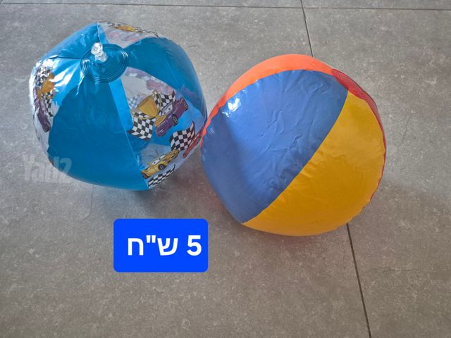 כדור ים