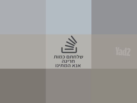 סכום מעוצב