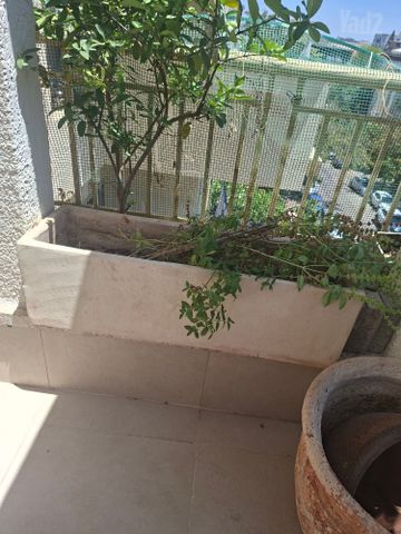 3 אדניות חינם