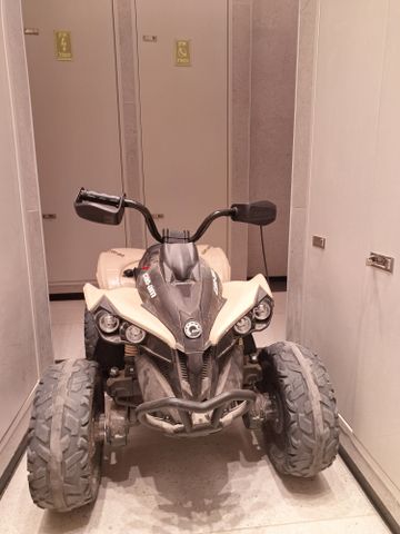 טרטורון 24v