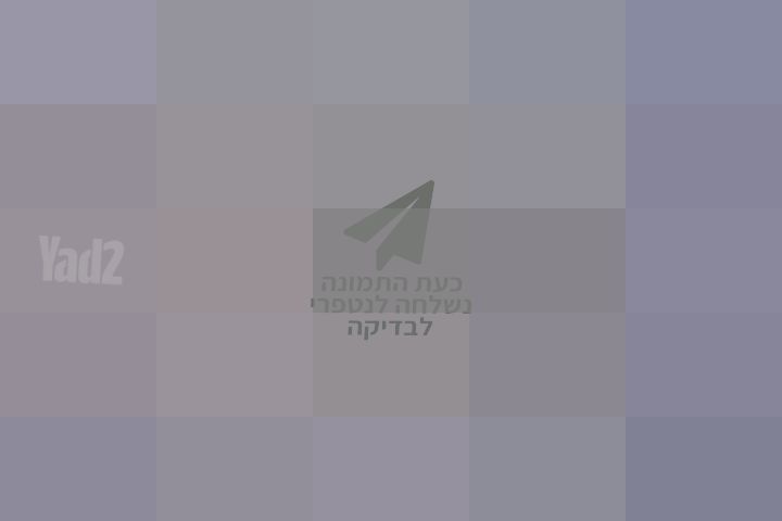 ציור תמונה