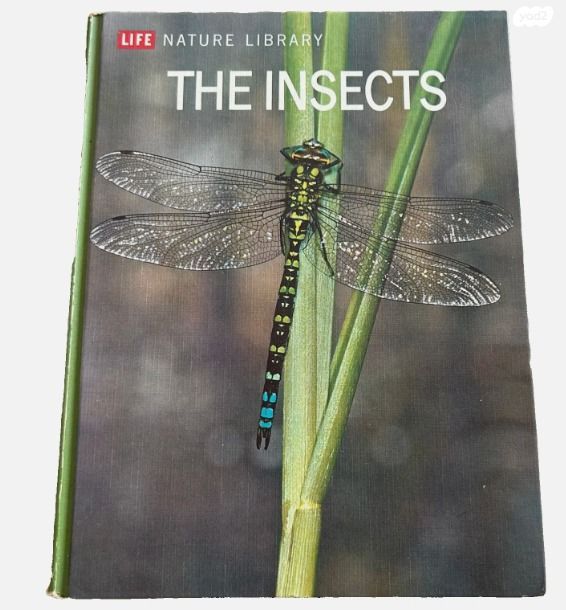 ספר the Insects