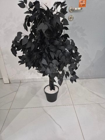 עציץ