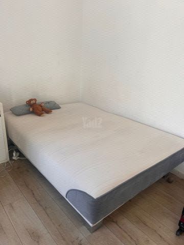 מיטה