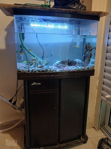 אקווריום