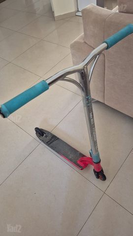 סקוט מדגיר