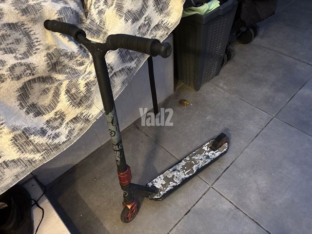 סקוט