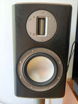 Monitor Audio platinum