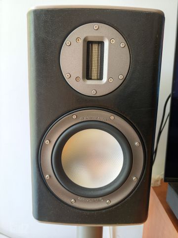 Monitor Audio platinum