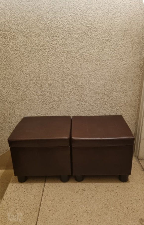 שני הדומים
