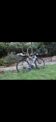 Orbea terra
