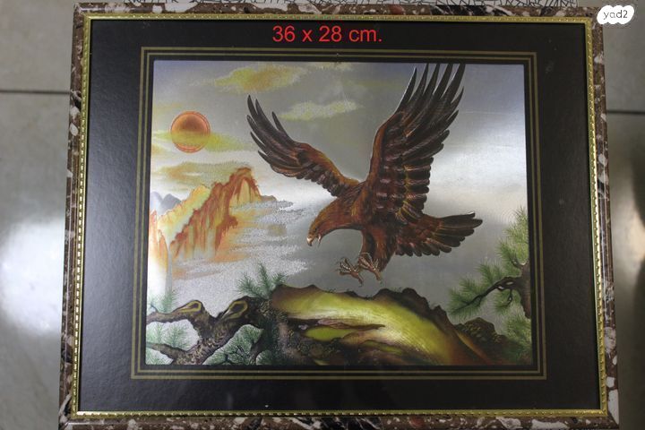 5 ציורים תחת זכוכית במסגרות