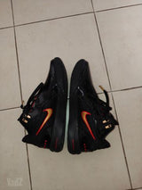 Nike James lebron shoes