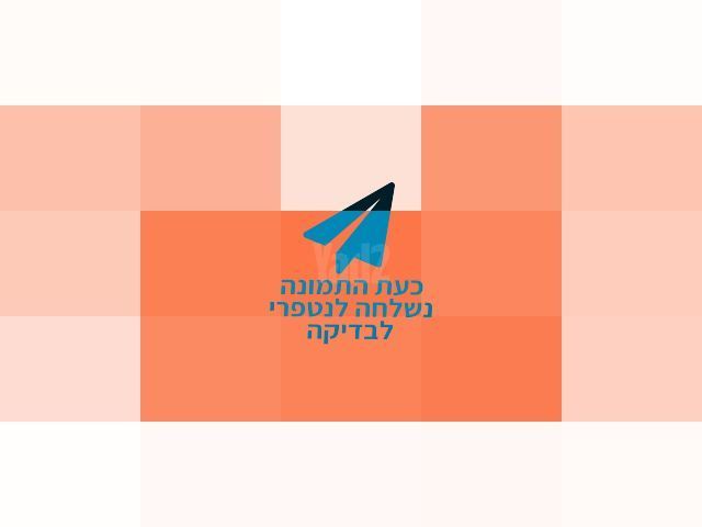 אורגן Korg Pa5X