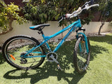 אופני הרים Panther Boxer 26"
