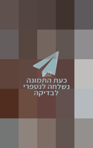 ארונית ספרים