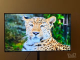 LG OLED 48