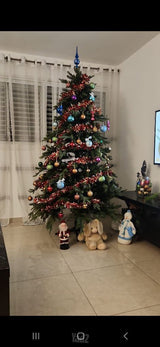 עץ טשוח