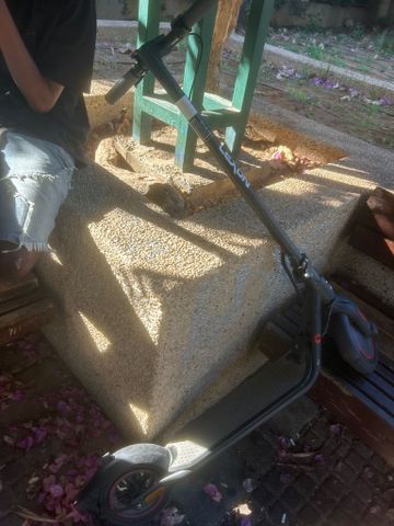 קורקינט לקסון