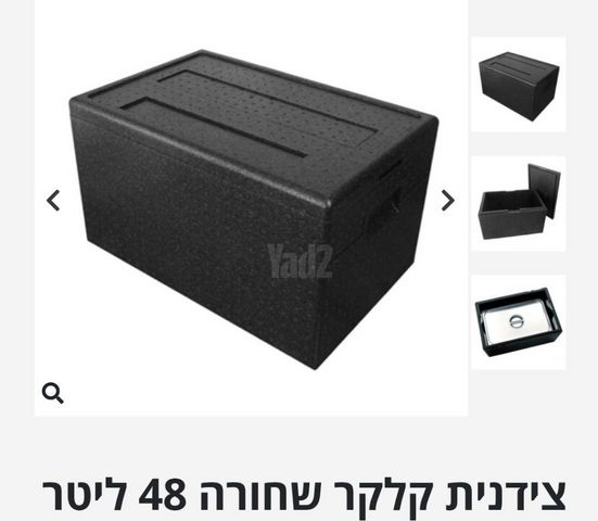 צידנית