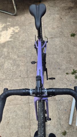 Santa Cruz Stigmata