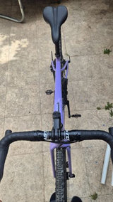 Santa Cruz Stigmata