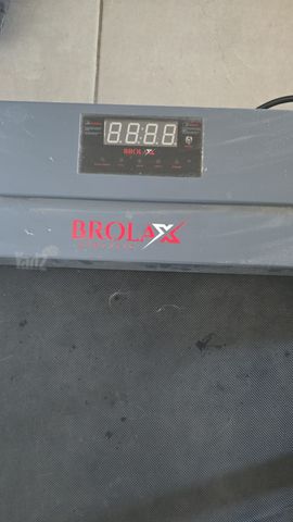 הליכון ביתי