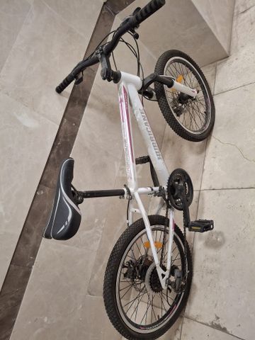 אופנים