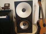 Amphion One15 + Amp100+ Cables