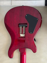 גיטרה PRS SE 24 Standard