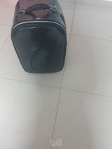 תיק לפאה