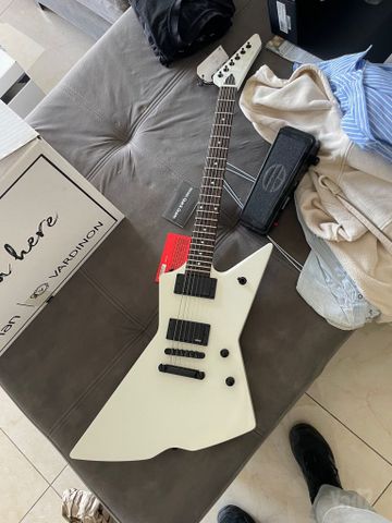 Harley benton explorer
