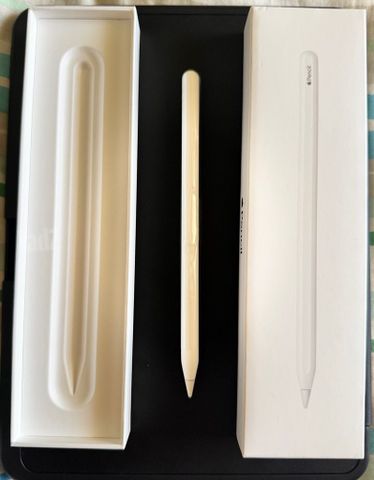 Apple Pencil(עט לאייפד)