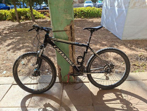 Cannondale SL5, size L, 26"