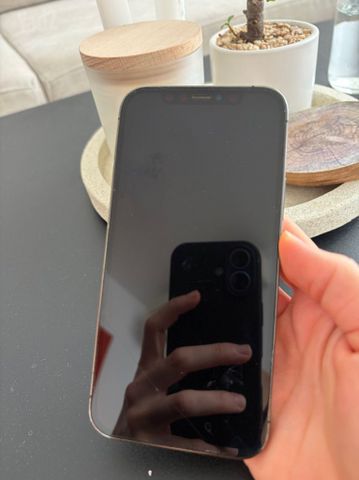 iPhone 12 Pro 256