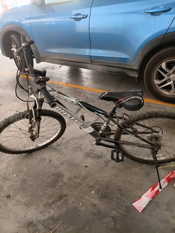 אפוניי שטח